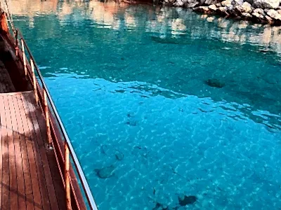 Bodrum tekne turu Galeri